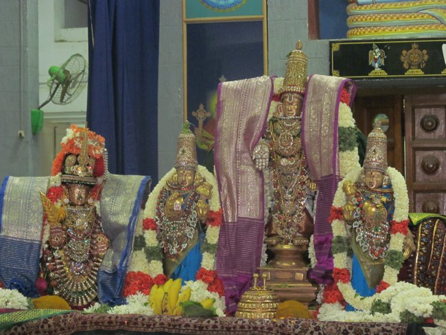 Mylapore SVDD Srinivasa Perumal Panguni Uthiram Ul Purappadu & Serthi 44
