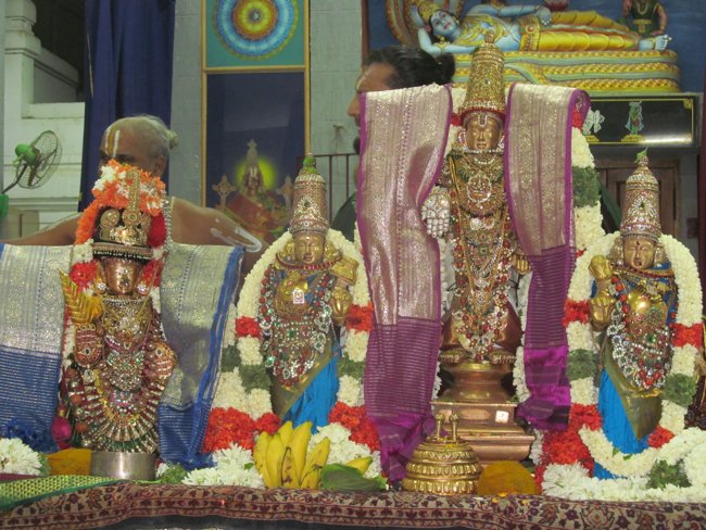 Mylapore SVDD Srinivasa Perumal Panguni Uthiram Ul Purappadu & Serthi 46
