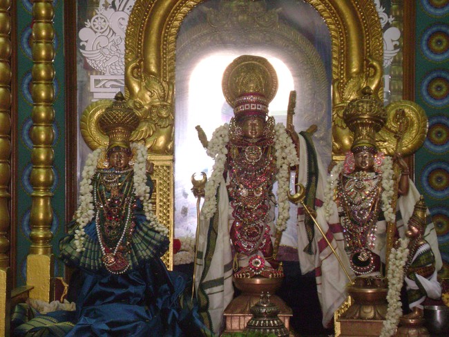 Mylapore SVDD Srinivasa Perumal temple Rama Navami Utsavam  day 3 2014 -2