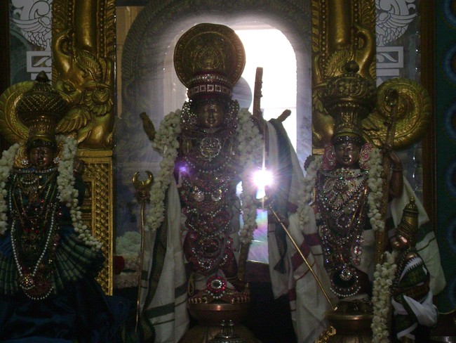 Mylapore SVDD Srinivasa Perumal temple Rama Navami Utsavam  day 3 2014 -5