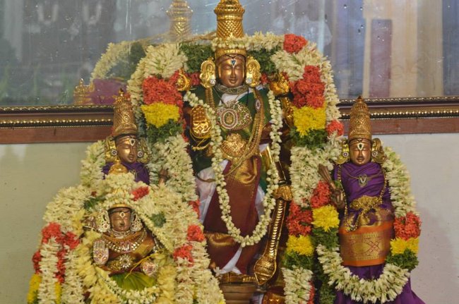 Mylapore Sri Madhava Perumal  Koil Panguni Uthiram and Thirukalyanam 02