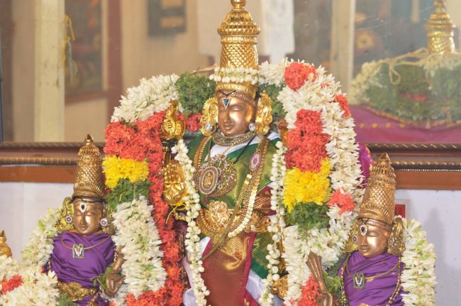 Mylapore Sri Madhava Perumal  Koil Panguni Uthiram and Thirukalyanam 04