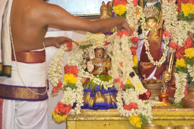 Mylapore Sri Madhava Perumal  Koil Panguni Uthiram and Thirukalyanam 05
