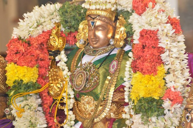 Mylapore Sri Madhava Perumal  Koil Panguni Uthiram and Thirukalyanam 06