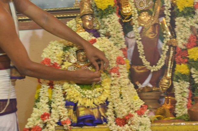 Mylapore Sri Madhava Perumal  Koil Panguni Uthiram and Thirukalyanam 08