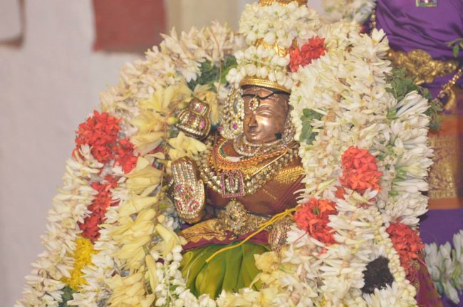 Mylapore Sri Madhava Perumal  Koil Panguni Uthiram and Thirukalyanam 10