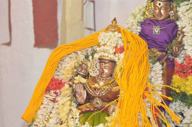 Mylapore Sri Madhava Perumal  Koil Panguni Uthiram and Thirukalyanam 11