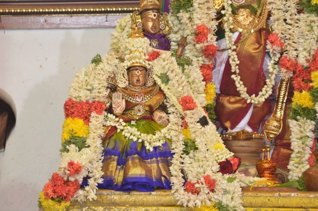 Mylapore Sri Madhava Perumal  Koil Panguni Uthiram and Thirukalyanam 15
