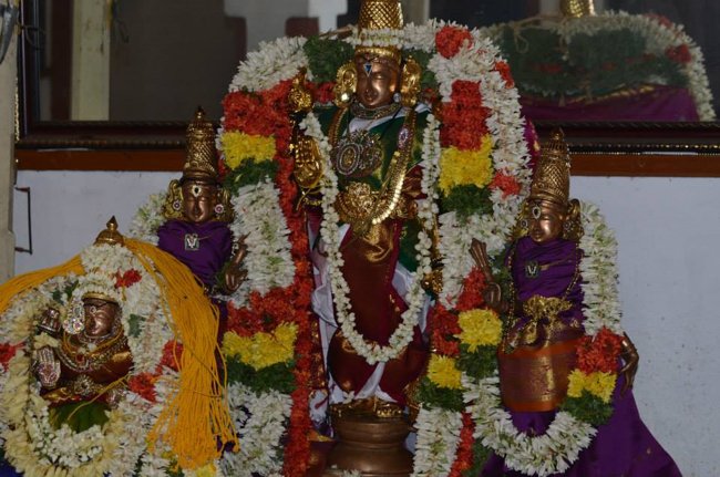 Mylapore Sri Madhava Perumal  Koil Panguni Uthiram and Thirukalyanam 17