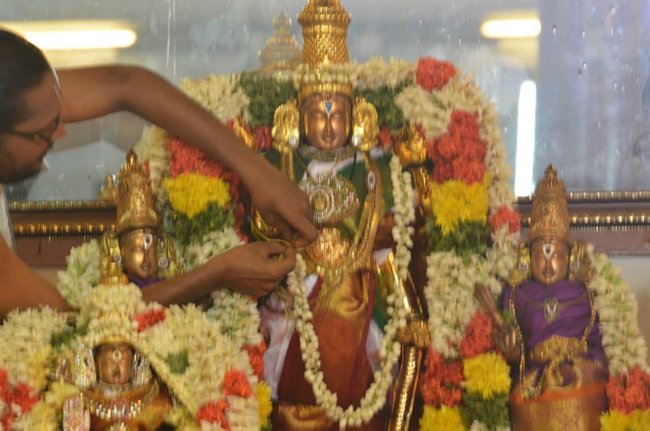 Mylapore Sri Madhava Perumal  Koil Panguni Uthiram and Thirukalyanam 19