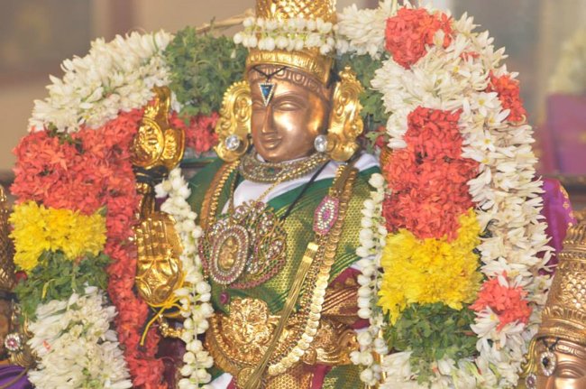 Mylapore Sri Madhava Perumal  Koil Panguni Uthiram and Thirukalyanam 20