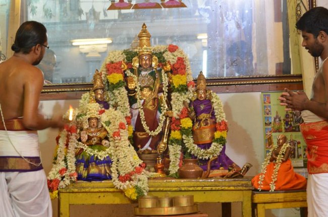Mylapore Sri Madhava Perumal  Koil Panguni Uthiram and Thirukalyanam 21