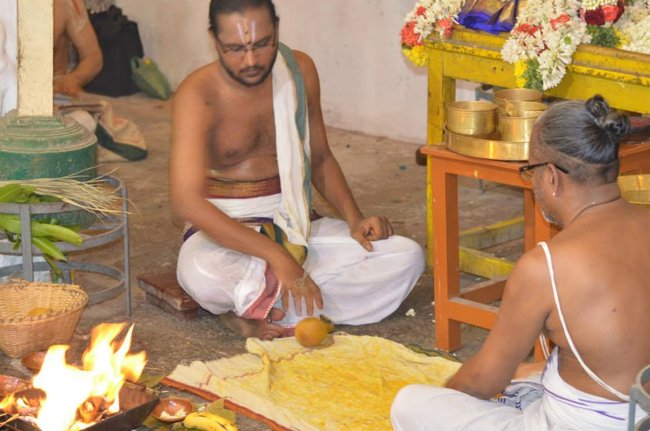 Mylapore Sri Madhava Perumal  Koil Panguni Uthiram and Thirukalyanam 25