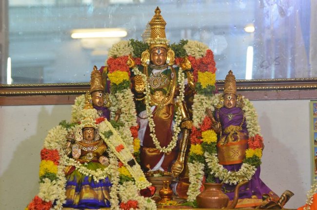 Mylapore Sri Madhava Perumal  Koil Panguni Uthiram and Thirukalyanam 29