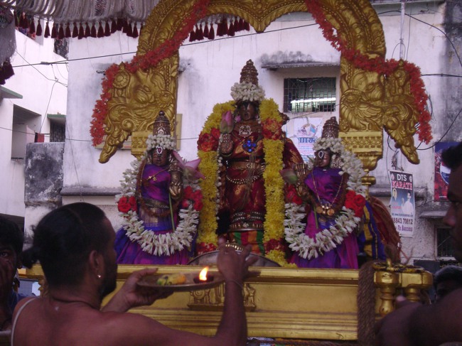Mylapore adhikesava perumal Jaya varusha Purappadu 2014--01