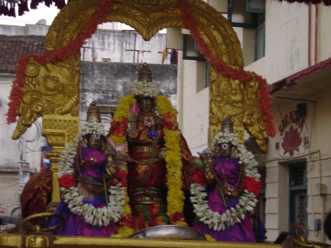Mylapore adhikesava perumal Jaya varusha Purappadu 2014--04