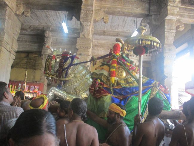 Namperumal Viruppan THirunal Kona Vayali  2014 -01