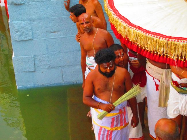 Namperumal Viruppan Thiirunaal Theerthavari 2014 -32