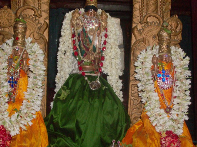 Nanganallur Sri Lakshmi hayavadhana Perumal Sri Bhasyakara uthsavam2