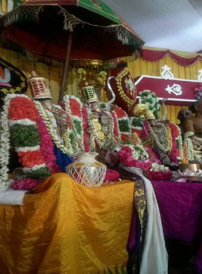 Pattabhishekam and Kanakabhishekam at oppilliappan koil-29