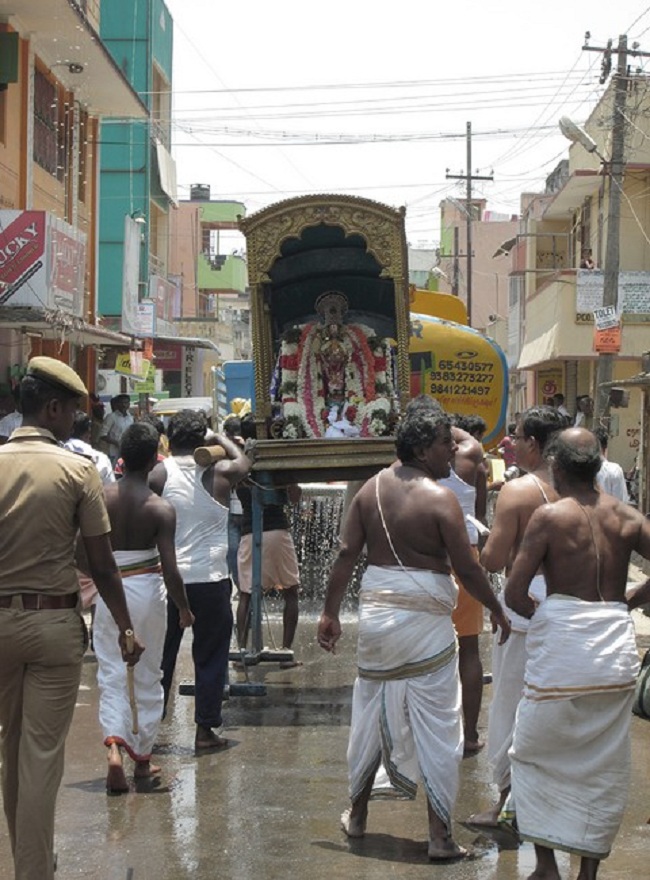 Pooviruthavalli Sri Thirukachi nambigal Mangalasasanam uthsavam26-