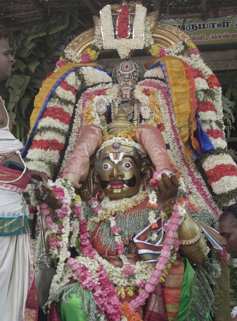 Pooviruthavalli Sri Thirukachi nambigal Mangalasasanam uthsavam3-