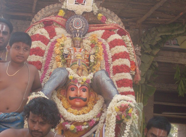 Pooviruthavalli Sri Thirukachi nambigal Mangalasasanam uthsavam3--