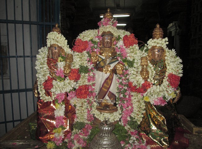 Pooviruthavalli Sri Thirukachi nambigal Mangalasasanam uthsavam43-