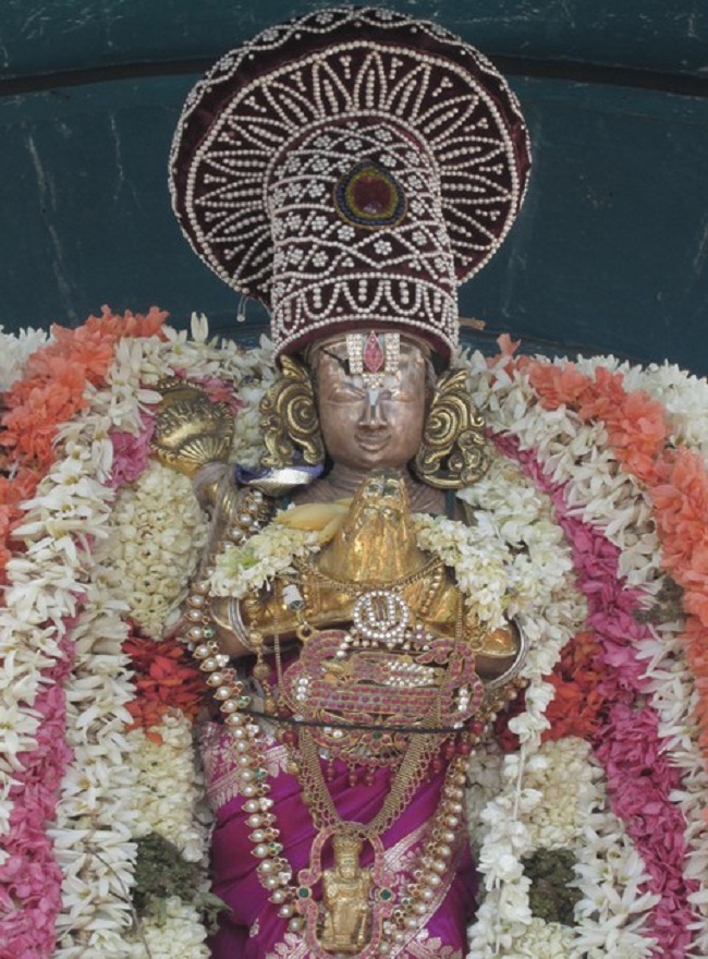 Pooviruthavalli Sri Thirukachi nambigal Mangalasasanam uthsavam6-