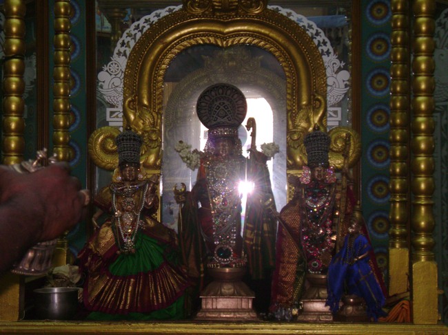 SVDD Sri Rama Navami utsavam day 4 2014--05