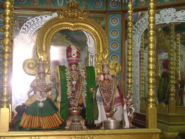 SVDD Srinivasa pErumal Temple Sri Ramanavami utsavam day 7  2014 -1