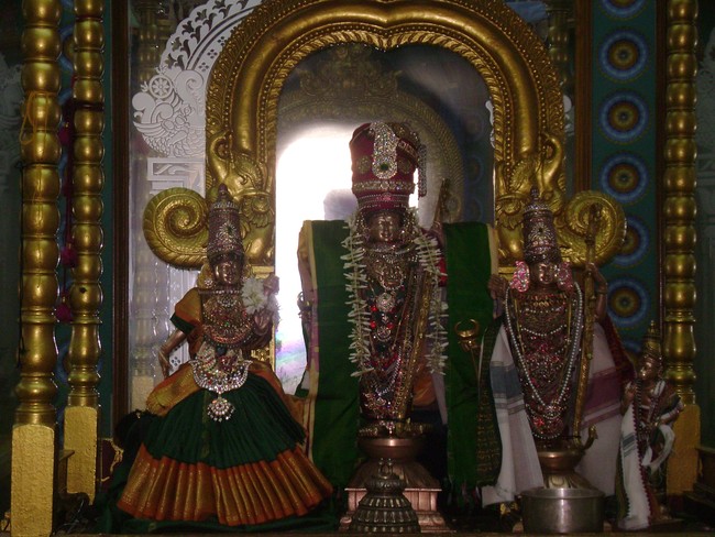 SVDD Srinivasa pErumal Temple Sri Ramanavami utsavam day 7  2014 -2