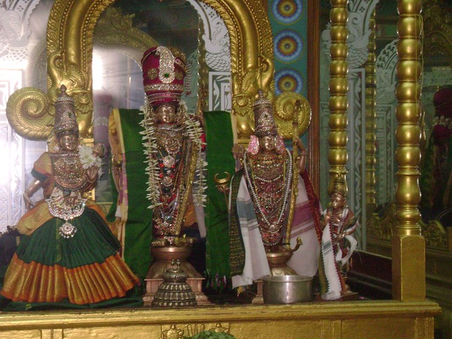 SVDD Srinivasa pErumal Temple Sri Ramanavami utsavam day 7  2014 -4