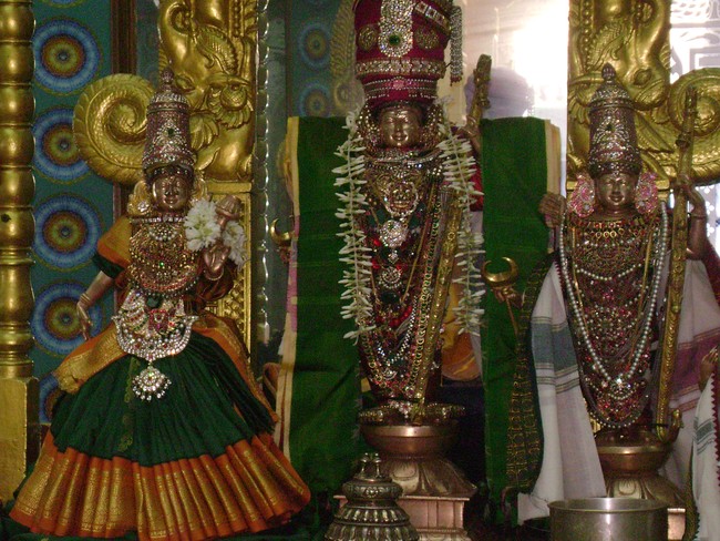 SVDD Srinivasa pErumal Temple Sri Ramanavami utsavam day 7  2014 -5