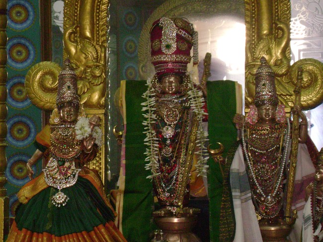 SVDD Srinivasa pErumal Temple Sri Ramanavami utsavam day 7  2014 -6