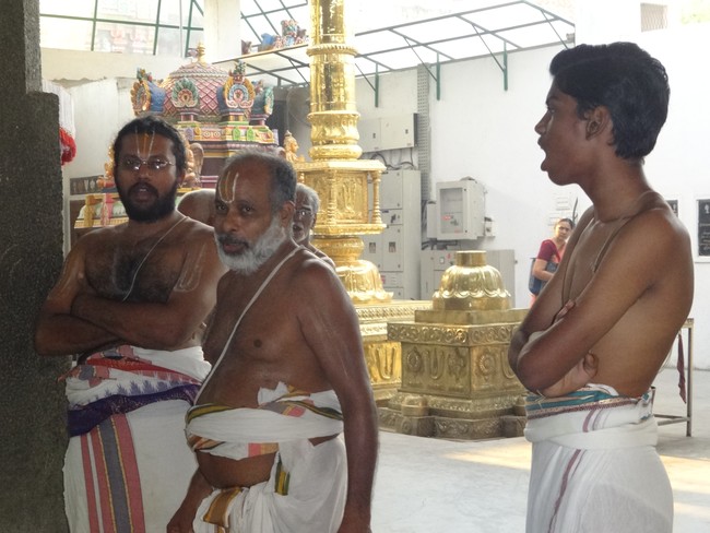 SVDD Srirama Navami Utsavam Ramar THirumanjanam 2014 -12