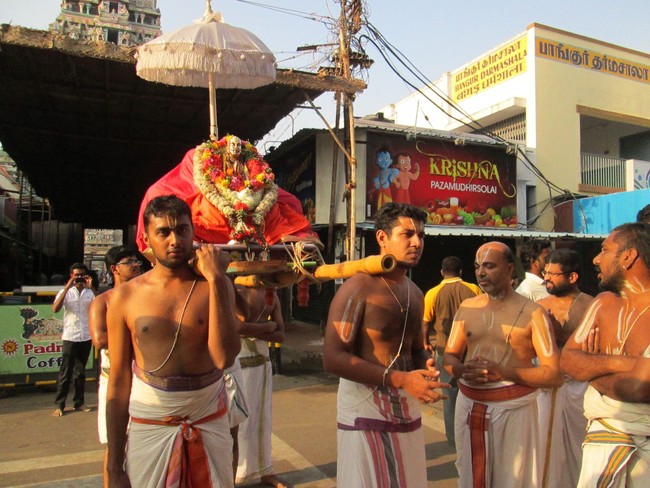 Sri Paravakottai ANdavan Thirunakshatram Purappadu to Ashramam 2014 -10