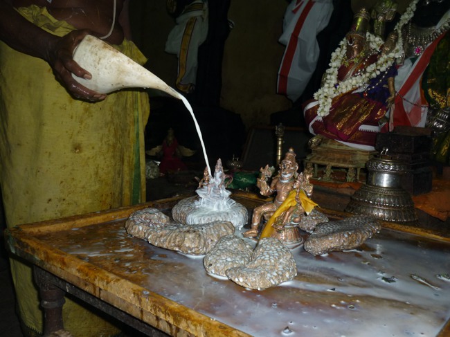 Sri Rama Navami Srirangam Dasavathara Sannadhi 2014--0057