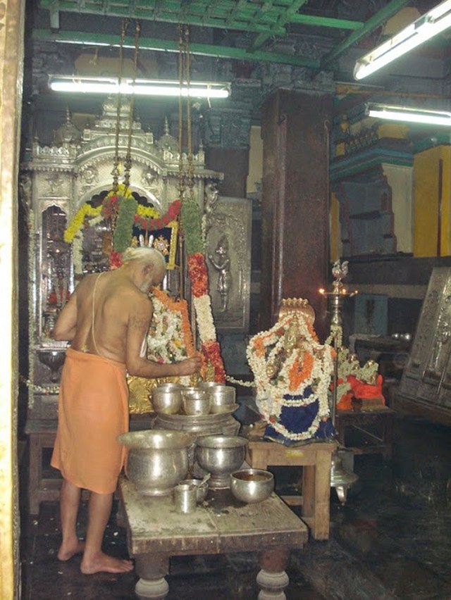 Srimad Parakala Swami THirunakshatram 2014 -04