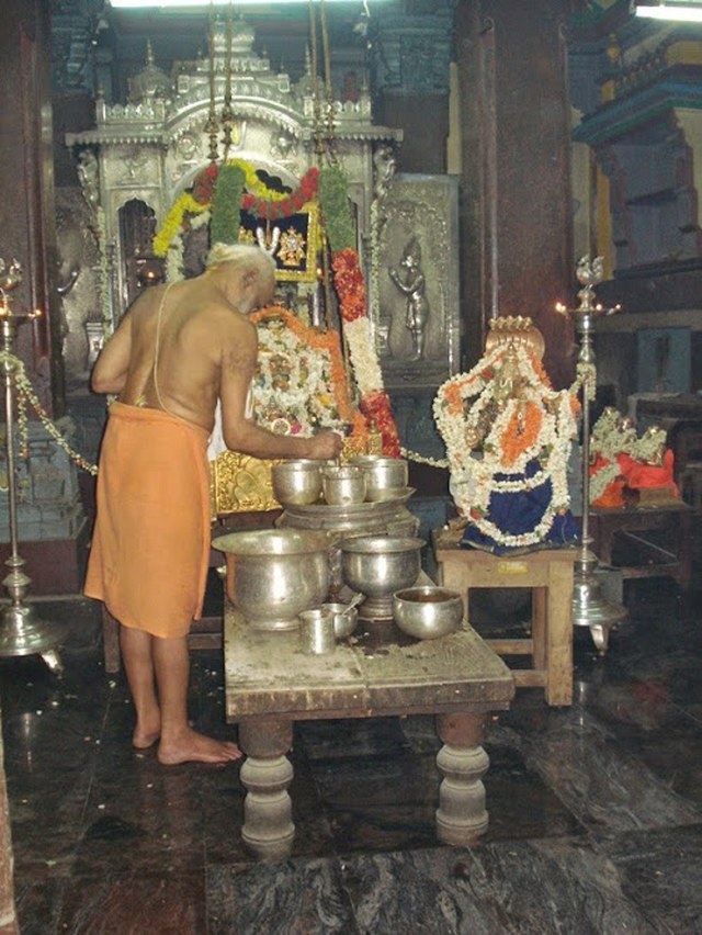 Srimad Parakala Swami THirunakshatram 2014 -06