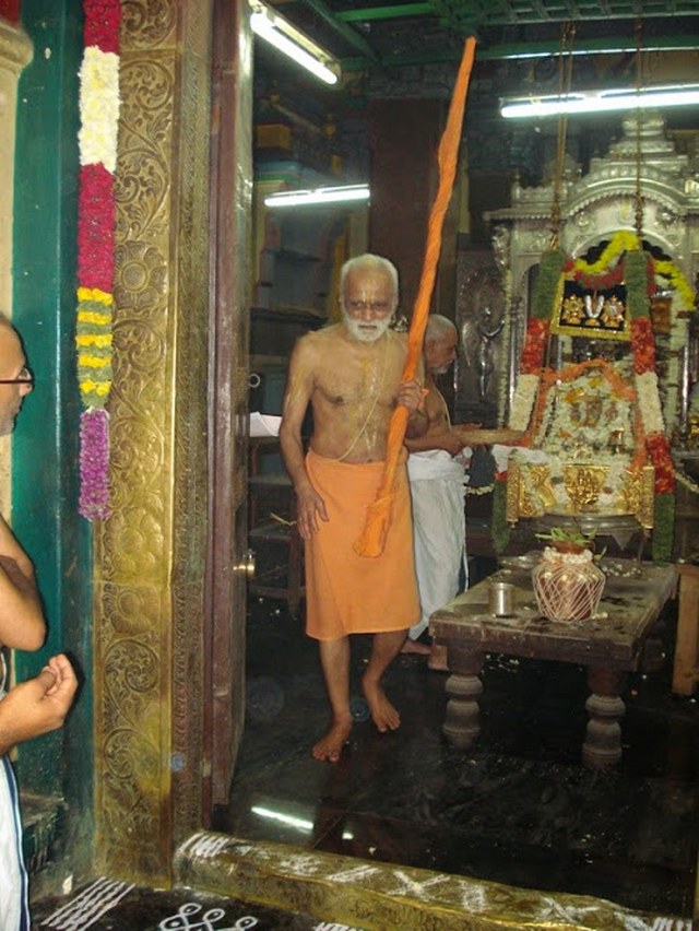 Srimad Parakala Swami THirunakshatram 2014 -19