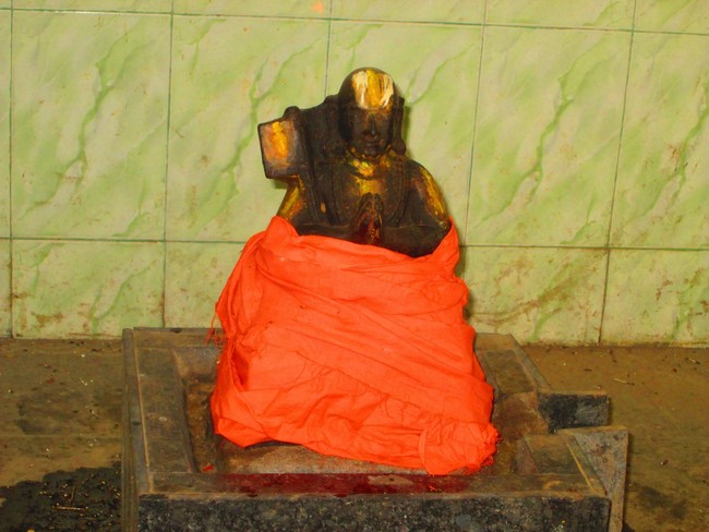 Srimad Paravakottai Andavan Thirunakshatram 2014 -11