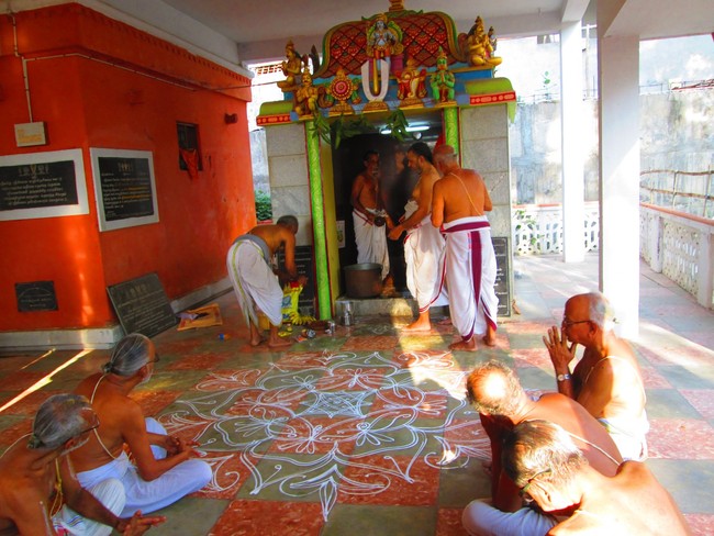 Srimad Paravakottai Andavan Thirunakshatram 2014 -16