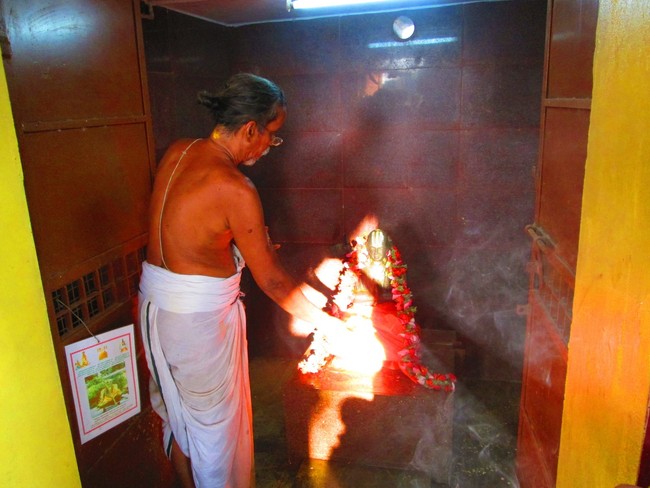 Srimad Paravakottai Andavan Thirunakshatram 2014 -30