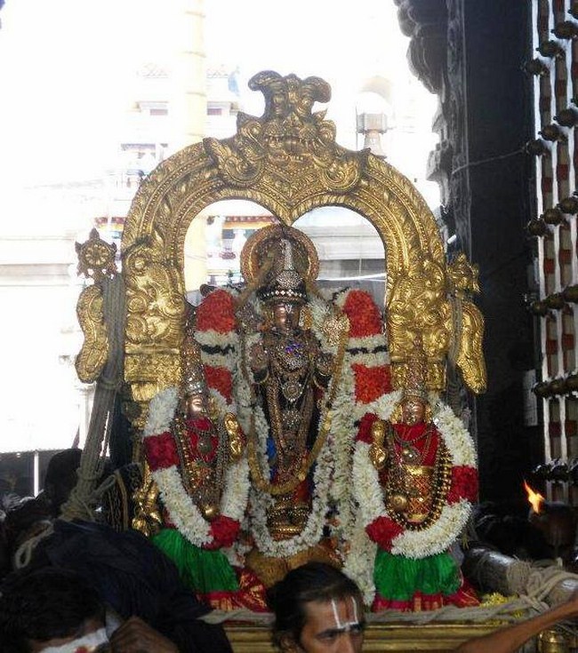 Sriperambadur Sri Aadhi kesava Perumal Brahmothsavam34