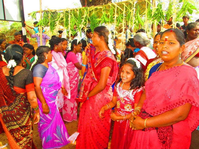 Srirangam Namperumal Jeeyapuram Ezhantharuli Purappadu 2014 -08