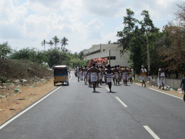 Srirangam Namperumal Jeeyapuram Ezhantharuli Purappadu 2014 -10