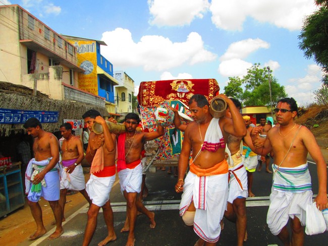 Srirangam Namperumal Jeeyapuram Ezhantharuli Purappadu 2014 -23