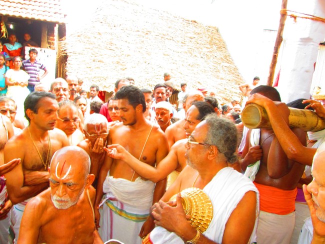 Srirangam Namperumal Jeeyapuram Ezhantharuli Purappadu 2014 -32