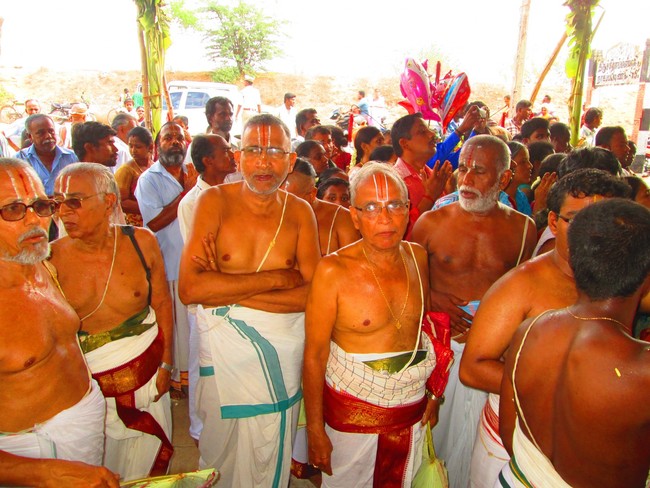 Srirangam Namperumal Jeeyapuram Ezhantharuli Purappadu 2014 -34